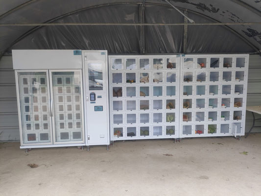 دستگاه فروش قفسه های سفارشی شده در زمان واقعی ذخیره سازی مدیریت عمر قفسه برای کالا های پیشرفته