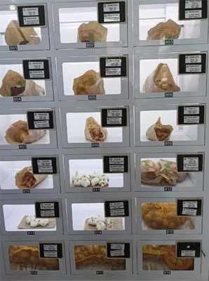 ماشين فروش ظرفيت 40 قفسه با طراحي بهداشتي و سیستم عامل اندرويد 11