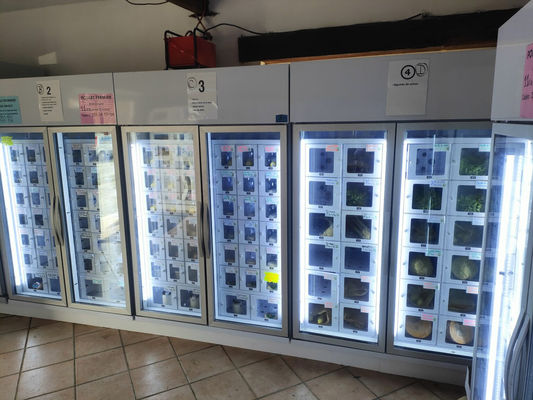 دستگاه توزیع تخم مرغ اندروید 11 برای تولیدکنندگان خرد مقیاس مزرعه با راحتی و کارایی 24/7